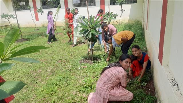अंतरराष्ट्रीय युवा दिवस के अवसर पर शासकीय शिवनाथ साइन्स कॉलेज राजनांदगांव में स्वच्छता अभियान के तहत कॉलेज परिसर में उगे  घास पूस ,खरपतवार, व प्लास्टि