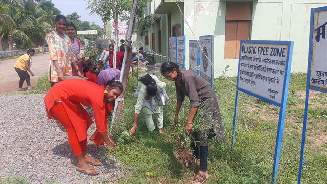 अंतरराष्ट्रीय युवा दिवस के अवसर पर शासकीय शिवनाथ साइन्स कॉलेज राजनांदगांव में स्वच्छता अभियान के तहत कॉलेज परिसर में उगे  घास पूस ,खरपतवार, व प्लास्टि