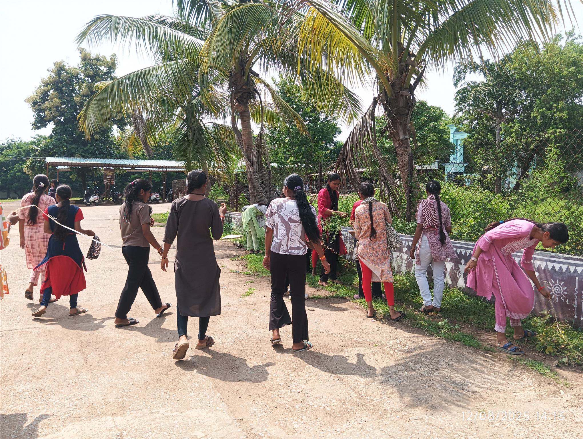 अंतरराष्ट्रीय युवा दिवस के अवसर पर शासकीय शिवनाथ साइन्स कॉलेज राजनांदगांव में स्वच्छता अभियान के तहत कॉलेज परिसर में उगे  घास पूस ,खरपतवार, व प्लास्टि