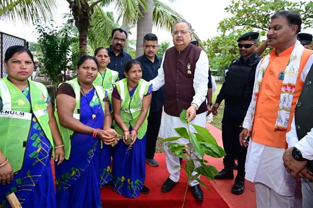 एक पेड़ मां के नाम 2.0